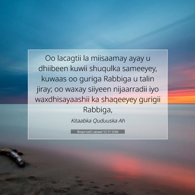Picture 07 - Boqorradii Labaad 12:11 SOM - Oo lacagtii la miisaamay ayay u dhiibeen kuwii - Bible Verse Picture