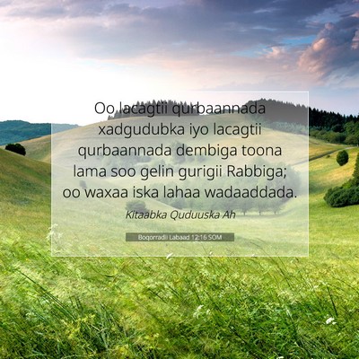 Picture 07 - Boqorradii Labaad 12:16 SOM - Oo lacagtii qurbaannada xadgudubka iyo lacagtii - Bible Verse Picture