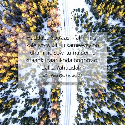 Picture 07 - Boqorradii Labaad 12:19 SOM - Haddaba Yoo'aash falimihiisii kale iyo wixii uu - Bible Verse Picture