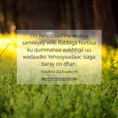Picture 07 - Boqorradii Labaad 12:2 SOM - Oo Yehoo'aashna wuxuu sameeyey wixii Rabbiga - Bible Verse Picture