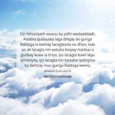 Picture 07 - Boqorradii Labaad 12:4 SOM - Oo Yehoo'aash wuxuu ku yidhi wadaaddadii, Alaabta - Bible Verse Picture