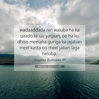 Picture 07 - Boqorradii Labaad 12:5 SOM - wadaaddada nin waluba ha ka qaado kii uu yaqaan, - Bible Verse Picture