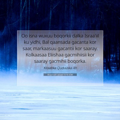 Picture 07 - Boqorradii Labaad 13:16 SOM - Oo isna wuxuu boqorkii dalka Israa'iil ku yidhi, - Bible Verse Picture