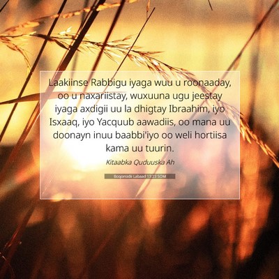 Picture 07 - Boqorradii Labaad 13:23 SOM - Laakiinse Rabbigu iyaga wuu u roonaaday, oo u - Bible Verse Picture