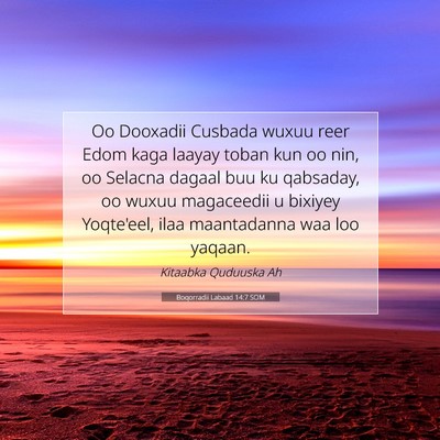 Picture 07 - Boqorradii Labaad 14:7 SOM - Oo Dooxadii Cusbada wuxuu reer Edom kaga laayay - Bible Verse Picture