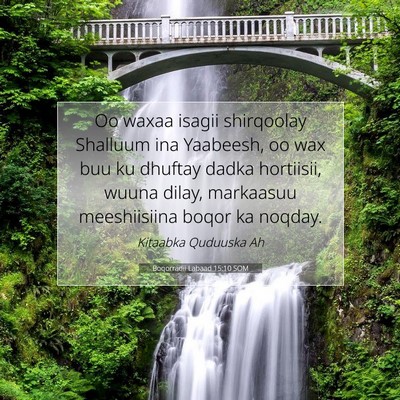 Picture 07 - Boqorradii Labaad 15:10 SOM - Oo waxaa isagii shirqoolay Shalluum ina Yaabeesh, - Bible Verse Picture