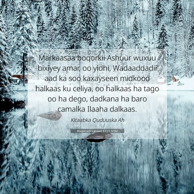 Picture 07 - Boqorradii Labaad 17:27 SOM - Markaasaa boqorkii Ashuur wuxuu bixiyey amar, oo - Bible Verse Picture