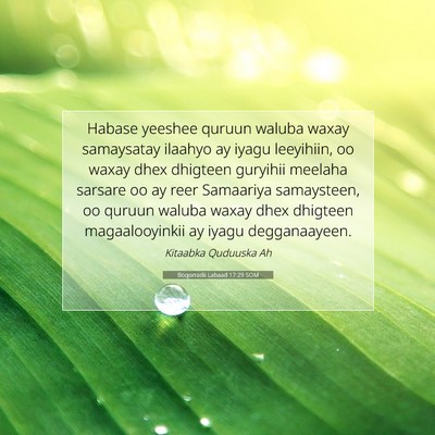 Picture 07 - Boqorradii Labaad 17:29 SOM - Habase yeeshee quruun waluba waxay samaysatay - Bible Verse Picture