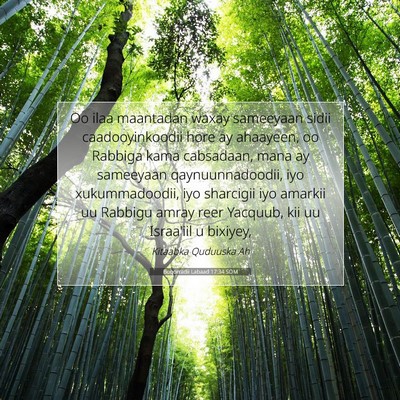 Picture 07 - Boqorradii Labaad 17:34 SOM - Oo ilaa maantadan waxay sameeyaan sidii - Bible Verse Picture