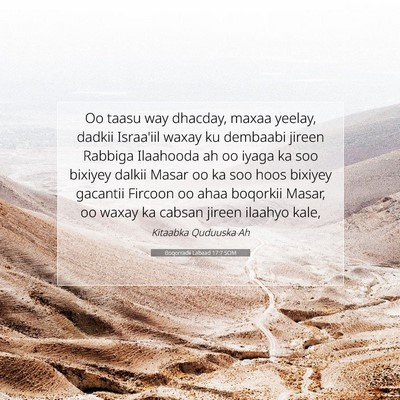 Picture 07 - Boqorradii Labaad 17:7 SOM - Oo taasu way dhacday, maxaa yeelay, dadkii - Bible Verse Picture