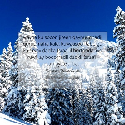 Picture 07 - Boqorradii Labaad 17:8 SOM - wayna ku socon jireen qaynuunnadii quruumaha - Bible Verse Picture
