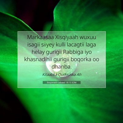 Picture 07 - Boqorradii Labaad 18:15 SOM - Markaasaa Xisqiyaah wuxuu isagii siiyey kulli - Bible Verse Picture