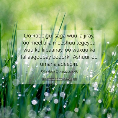 Picture 07 - Boqorradii Labaad 18:7 SOM - Oo Rabbigu isaga wuu la jiray, oo meel alla - Bible Verse Picture