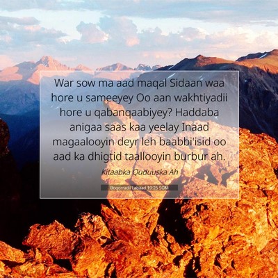 Picture 07 - Boqorradii Labaad 19:25 SOM - War sow ma aad maqal Sidaan waa hore u sameeyey - Bible Verse Picture