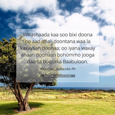 Picture 07 - Boqorradii Labaad 20:18 SOM - Wiilashaada kaa soo bixi doona oo aad dhali - Bible Verse Picture