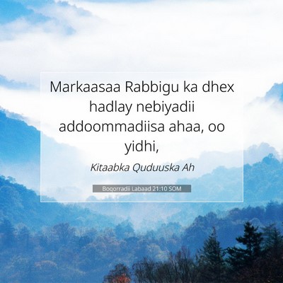 Picture 07 - Boqorradii Labaad 21:10 SOM - Markaasaa Rabbigu ka dhex hadlay nebiyadii - Bible Verse Picture