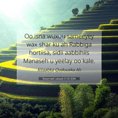 Picture 07 - Boqorradii Labaad 21:20 SOM - Oo isna wuxuu sameeyey wax shar ku ah Rabbiga - Bible Verse Picture