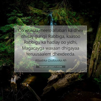 Picture 07 - Boqorradii Labaad 21:4 SOM - Oo wuxuu meelo allabari ka dhex dhisay gurigii - Bible Verse Picture