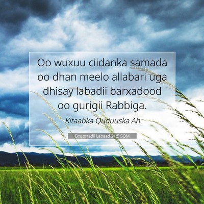 Picture 07 - Boqorradii Labaad 21:5 SOM - Oo wuxuu ciidanka samada oo dhan meelo allabari - Bible Verse Picture