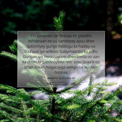 Picture 07 - Boqorradii Labaad 21:7 SOM - Oo sanamkii xardhanaa ee geedihii Asheeraah ee uu - Bible Verse Picture