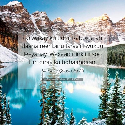 Picture 07 - Boqorradii Labaad 22:15 SOM - oo waxay ku tidhi, Rabbiga ah Ilaaha reer binu - Bible Verse Picture
