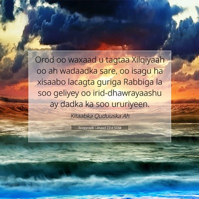 Picture 07 - Boqorradii Labaad 22:4 SOM - Orod oo waxaad u tagtaa Xilqiyaah oo ah wadaadka - Bible Verse Picture