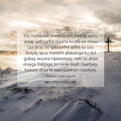 Picture 07 - Boqorradii Labaad 23:16 SOM - Oo Yoosiyaah markuu soo jeestay ayuu arkay - Bible Verse Picture