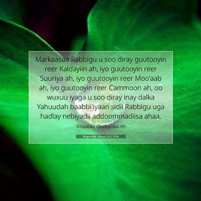 Picture 07 - Boqorradii Labaad 24:2 SOM - Markaasaa Rabbigu u soo diray guutooyin reer - Bible Verse Picture