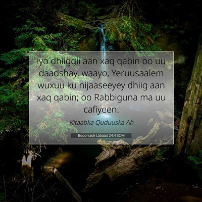Picture 07 - Boqorradii Labaad 24:4 SOM - iyo dhiiggii aan xaq qabin oo uu daadshay, waayo, - Bible Verse Picture
