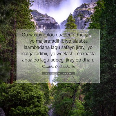 Picture 07 - Boqorradii Labaad 25:14 SOM - Oo waxay kaloo qaadeen dheryihii, iyo - Bible Verse Picture