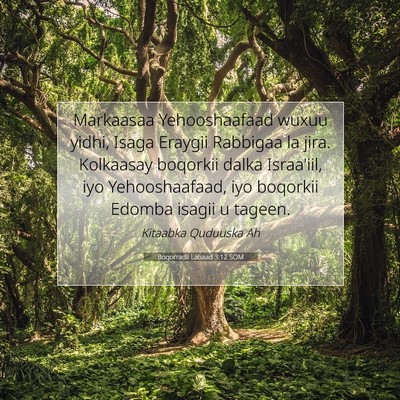 Picture 07 - Boqorradii Labaad 3:12 SOM - Markaasaa Yehooshaafaad wuxuu yidhi, Isaga - Bible Verse Picture