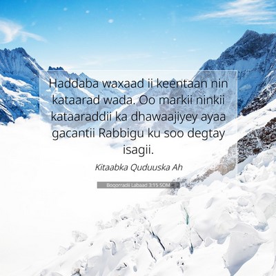 Picture 07 - Boqorradii Labaad 3:15 SOM - Haddaba waxaad ii keentaan nin kataarad wada. Oo - Bible Verse Picture