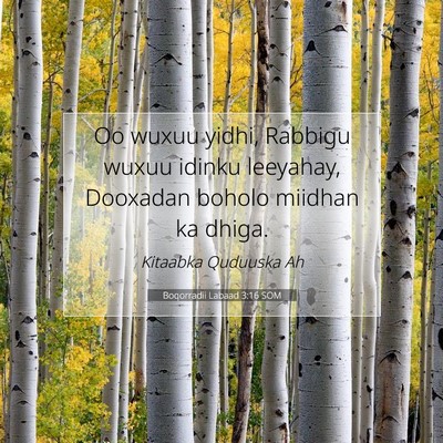 Picture 07 - Boqorradii Labaad 3:16 SOM - Oo wuxuu yidhi, Rabbigu wuxuu idinku leeyahay, - Bible Verse Picture