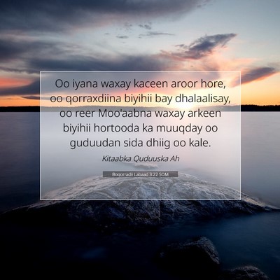 Picture 07 - Boqorradii Labaad 3:22 SOM - Oo iyana waxay kaceen aroor hore, oo qorraxdiina - Bible Verse Picture