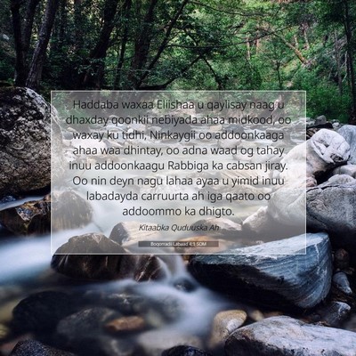 Picture 07 - Boqorradii Labaad 4:1 SOM - Haddaba waxaa Eliishaa u qaylisay naag u dhaxday - Bible Verse Picture