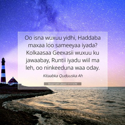 Picture 07 - Boqorradii Labaad 4:14 SOM - Oo isna wuxuu yidhi, Haddaba maxaa loo sameeyaa - Bible Verse Picture