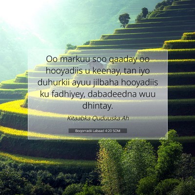 Picture 07 - Boqorradii Labaad 4:20 SOM - Oo markuu soo qaaday oo hooyadiis u keenay, tan - Bible Verse Picture