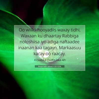 Picture 07 - Boqorradii Labaad 4:30 SOM - Oo wiilkii hooyadiis waxay tidhi, Waxaan ku - Bible Verse Picture