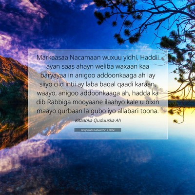 Picture 07 - Boqorradii Labaad 5:17 SOM - Markaasaa Nacamaan wuxuu yidhi, Haddii ayan saas - Bible Verse Picture