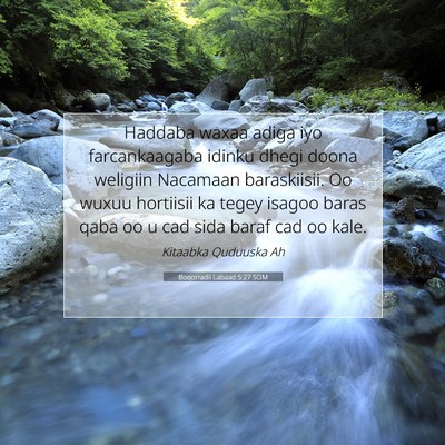Picture 07 - Boqorradii Labaad 5:27 SOM - Haddaba waxaa adiga iyo farcankaagaba idinku - Bible Verse Picture