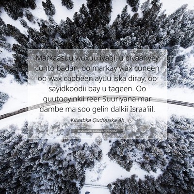 Picture 07 - Boqorradii Labaad 6:23 SOM - Markaasuu wuxuu iyagii u diyaariyey cunto badan, - Bible Verse Picture