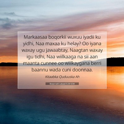 Picture 07 - Boqorradii Labaad 6:28 SOM - Markaasaa boqorkii wuxuu iyadii ku yidhi, Naa - Bible Verse Picture