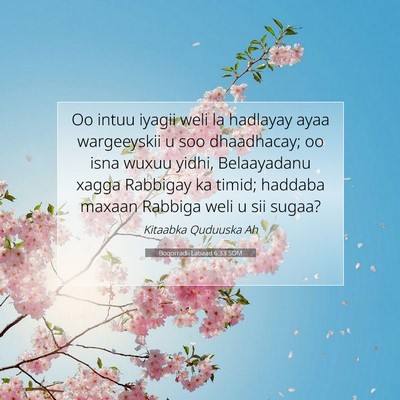 Picture 07 - Boqorradii Labaad 6:33 SOM - Oo intuu iyagii weli la hadlayay ayaa wargeeyskii - Bible Verse Picture