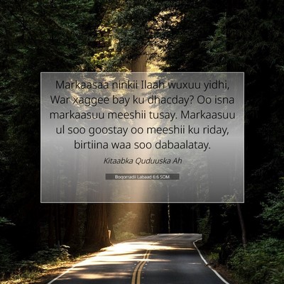 Picture 07 - Boqorradii Labaad 6:6 SOM - Markaasaa ninkii Ilaah wuxuu yidhi, War xaggee - Bible Verse Picture
