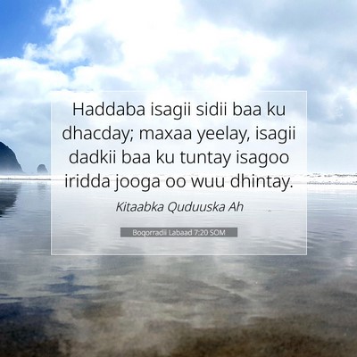 Picture 07 - Boqorradii Labaad 7:20 SOM - Haddaba isagii sidii baa ku dhacday; maxaa - Bible Verse Picture