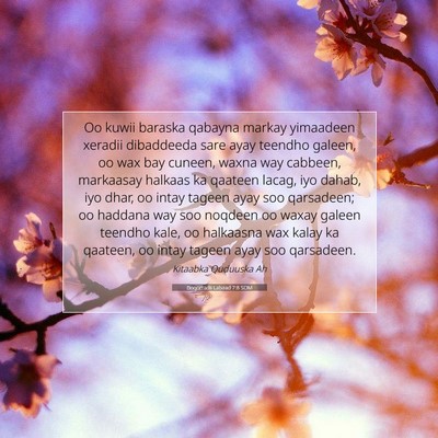 Picture 07 - Boqorradii Labaad 7:8 SOM - Oo kuwii baraska qabayna markay yimaadeen xeradii - Bible Verse Picture