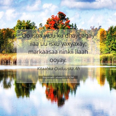 Picture 07 - Boqorradii Labaad 8:11 SOM - Oo isna wuu ku dhaygagay ilaa uu isku yaxyaxay; - Bible Verse Picture