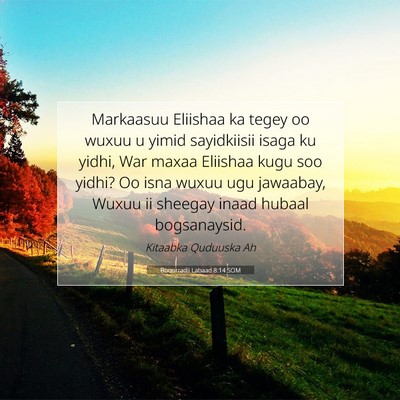 Picture 07 - Boqorradii Labaad 8:14 SOM - Markaasuu Eliishaa ka tegey oo wuxuu u yimid - Bible Verse Picture