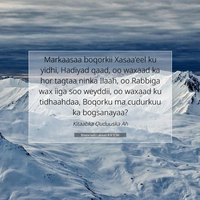 Picture 07 - Boqorradii Labaad 8:8 SOM - Markaasaa boqorkii Xasaa'eel ku yidhi, Hadiyad - Bible Verse Picture