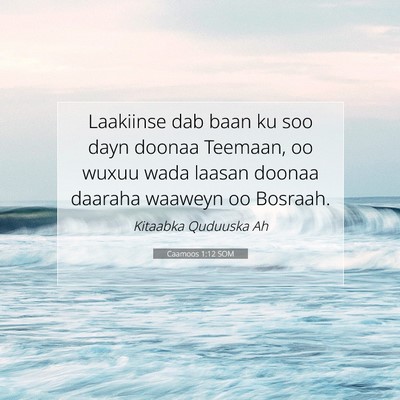 Picture 07 - Caamoos 1:12 SOM - Laakiinse dab baan ku soo dayn doonaa Teemaan, oo - Bible Verse Picture